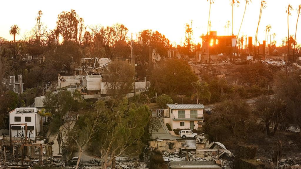 Devastation caused by wildfires in Los Angeles