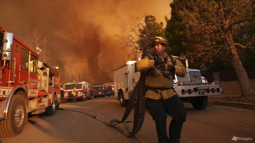 Burnt landscape in Los Angeles after the wildfire