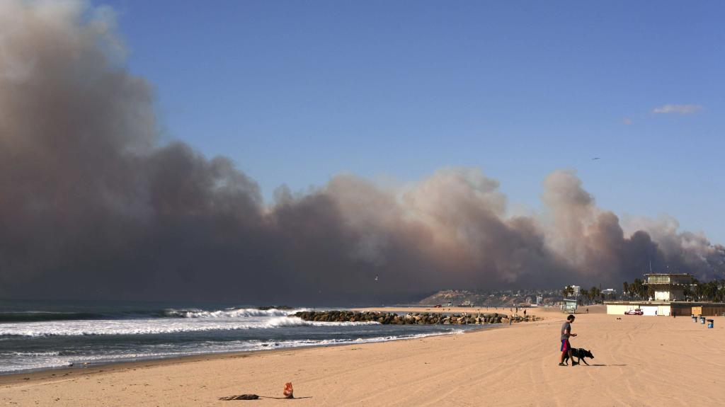 Aerial view of the scale of the wildfire damage in Pacific Palisades