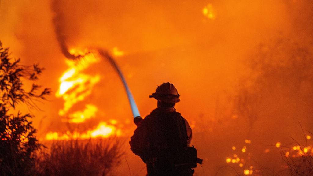 Firefighters assessing the landscape affected by wildfire