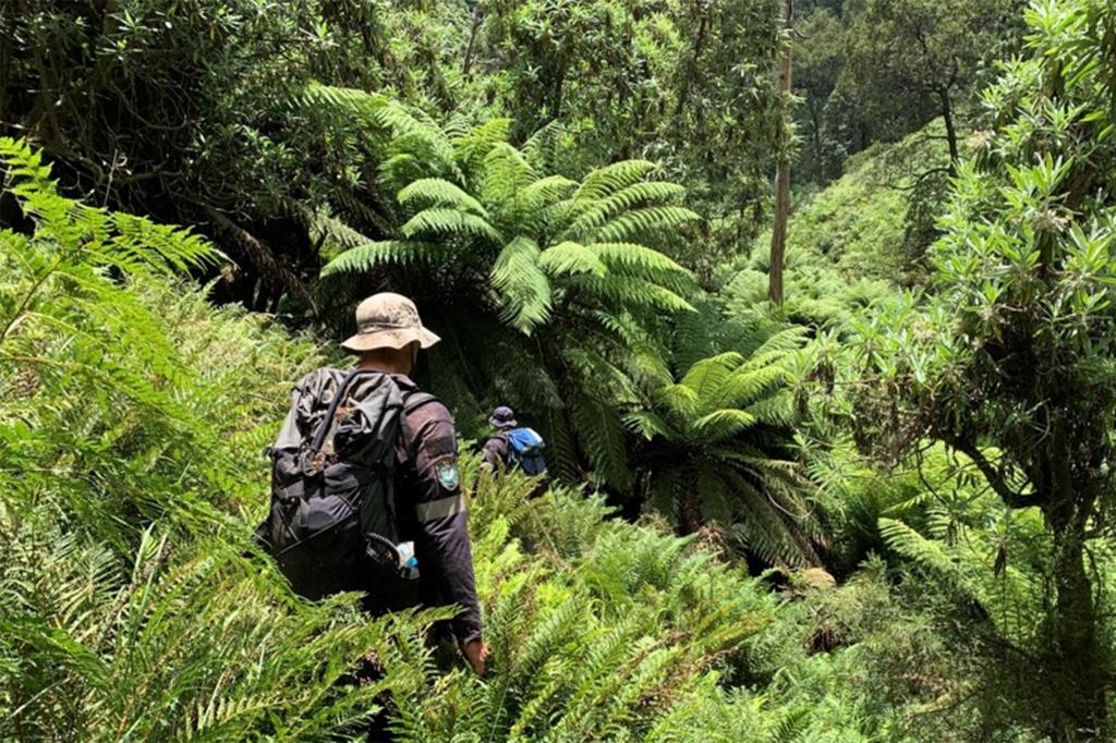 Hadi Nazari's 13-Day Survival Story in Australian Wilderness